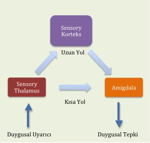 Screenshot_3
